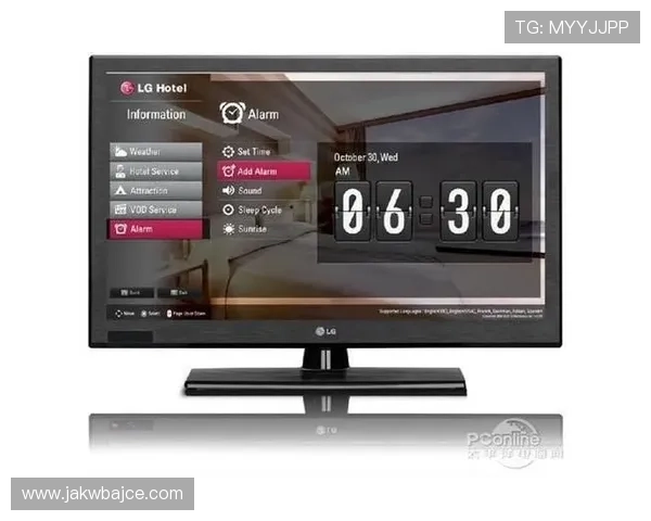 lt官网入口访问遇到问题怎么办？常见故障排查与解决方案全攻略