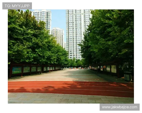 乐天体育app多平台同步使用指南,随时随地畅享体育娱乐体验