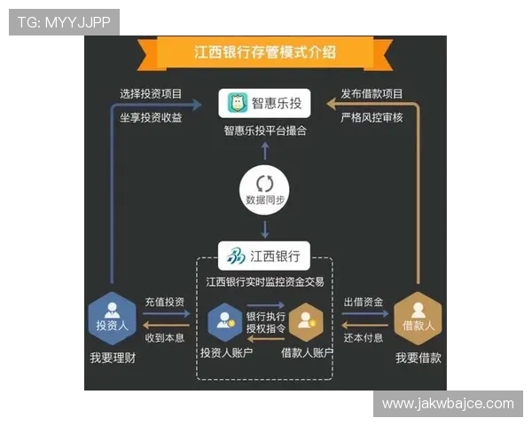 乐投平台怎么样:投资新手入门必看的平台选择指南